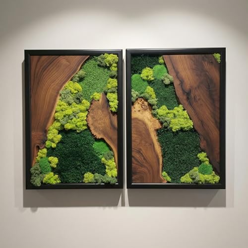 Moss Wall Decor Preserved Moss Art in Solid Cedar Wood Frame | Natural Wooden Wall Decor for Living Room, Office, Home | Zero Maintenance Gift for Nature Lovers 2 Pieces - color: 2 Pieces