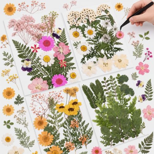 Nuanchu Natural Dried Pressed Flowers for Craft Resin | Fits Any Project, Scrapbooking, Jewelry Candle Soap Making, Silicone Epoxy Resin Mold, Nail, DIY Art Supply, with Tweezers - color: Elegant Color, style: Fresh Style