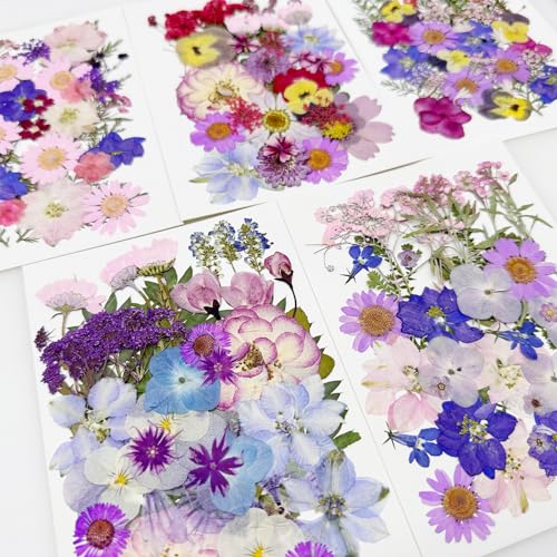 Cayway 170 PCS Real Nature Dried Pressed Flower Leaves, Pressed Flowers for Resin, Real Nature Pressing Floral Leaves for DIY Craft, Candle Scrapbooking Supplies, Purple - color: 170pcs-purple