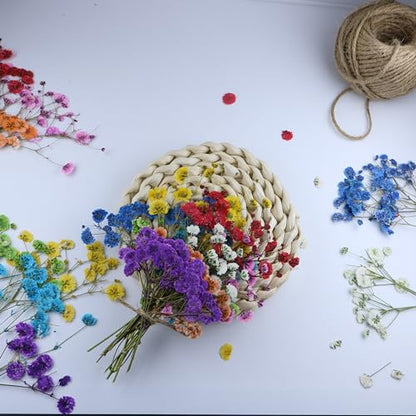 9 Mixed Color 90 Branches Babys Breath Flowers Set,Real Gypsophila Natural Dried Pressed Flowers,for Resin Candle Crafts Scrapbooking Bookmark DIY Nails Jewelry , Plant Herbarium +1 Tweezers - size: 90pcs