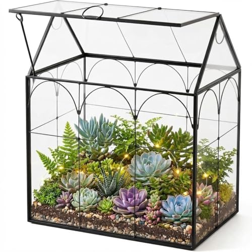 Fochier Geometric Glass Terrarium Planter, Handmade House-Shaped with Front Opening Door, Small Succulent & Cactus Display Box with Lid, Indoor Tabletop Micro Landscape Decor, No Plants, Black