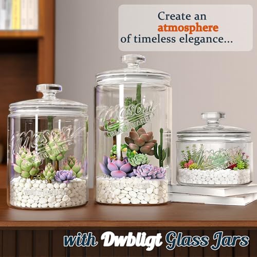Glass Cookie Jars with Lids Airtight, 1.5 Gallon Glass Jar, 2 Pack | 5.7''Wide Mouth, Glass Lid, Scale Mark, Heavy Duty Glass Canisters for Kitchen Counter, Pantry, Sugar, Dog Treat - size: 1.5 Gallon