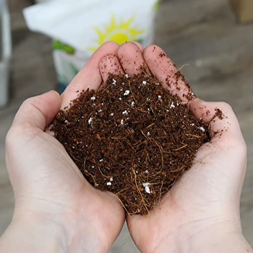 Soil Sunrise Coco Peat Perlite Potting Mix (12 Quarts) Loose Coconut Coir and Perlite - size: 12 Quarts