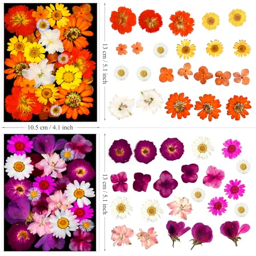 133Pcs Dried Pressed Flowers and Butterfly for Resin Molds, Assorted Real Natural Flowers Leaves Stickers for DIY Art Crafts, Jewelry, Candle, Soap Crafts Making - size: 133PCS