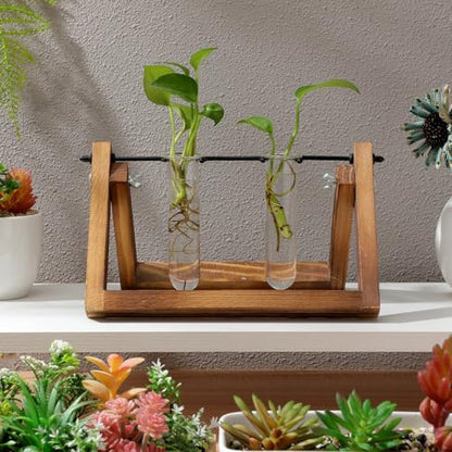 UKCOCO 5Pcs Glass Test Tube Vases 4.33 Inch Clear Propagation Tubes for Plant Cuttings Hydroponic Plant Holders Desktop Floral Arrangement for Home Office Decor