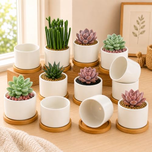 ZOUTOG 12 PCS 3.6" Ceramic Succulent Pots,White Planter with Drainage Tray - size: 12 pack