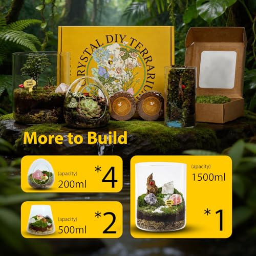 DIY Crystal Terrarium Kit - 21-Pieces All-In-One Starter Kit with Preserved Moss, Pumice, Crystals, Coconut Coir, Tools & Decor | Healing Gift for relaxing | Plants Lovers | Home & Desk Decor