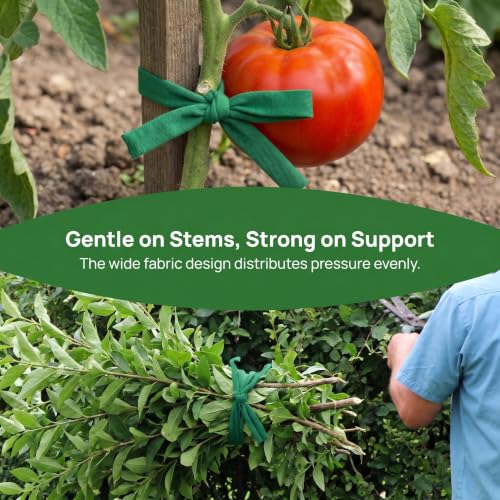2 Pack Stretch Soft Garden Plant Ties for Indoor & Outdoor Plants, Garden Twine, Gardening Tape, Tree Support, Stretchy Trap for Trees,Flowers,Green Soft Ties for All Plants All Gardeners