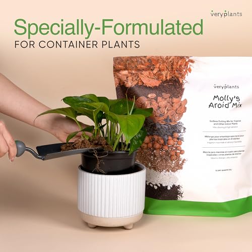 Molly's Aroid Potting Mix, Chunky Soil-Free for Indoor Plants, 5 Dry Quarts - size: 5 Dry Quarts, style: Houseplants & Aroids