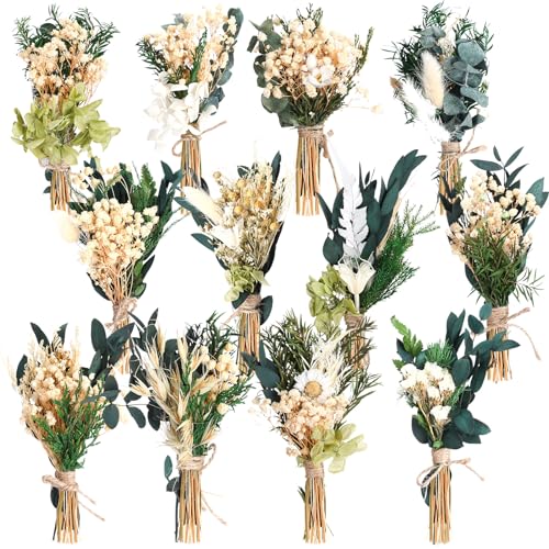 Layhit 12 Pcs Mini Dried Flower Bouquet Boho for Wedding,Fresh | Rustic Boutonniere Bridesmaid Gifts,Handmade Dry Flowers Decor, Bulk Dried Flowers in Vase, DIY Crafts Home Decor - style: Eucalyptus