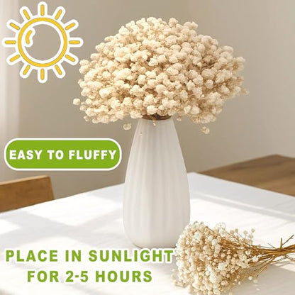 2500+ Mini Dried Babys Breath Flowers, 75 Pcs Ivory White Baby Breath Flowers, Natural Dried Gypsophila Bouquets for Rustic Wedding Decor, DIY Crafts, Gift Wrapping, Vase Arrangement - size: 6 inch