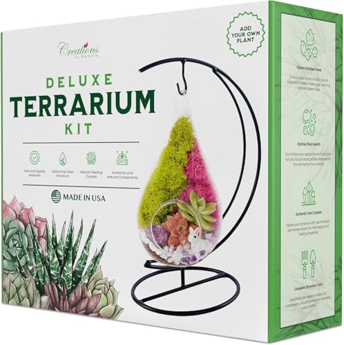 Creations by Nathalie 7" Teardrop Glass Terrarium Kit DIY Succulent Décor - color: Customizable Glass