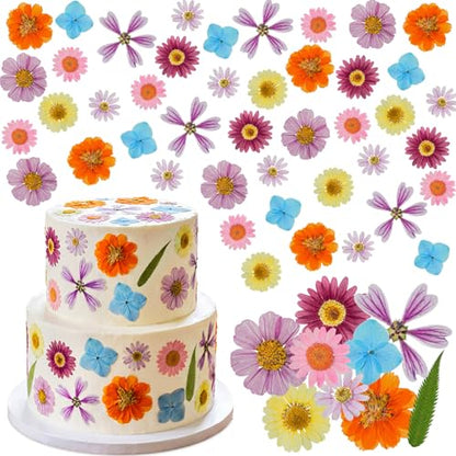 96 Pcs Pressed Dried Flowers, Colorful, Flower Leaf Style | Natural Dried Flowers for Cake Topper Cupcake, Cocktails Garnish, Resin Jewelry DIY, Soap, Candle Making Art Crafts - color: Colorful, style: Flower Leaf Style