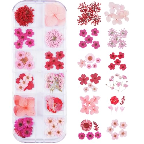 60Pcs Red Small Dried Pressed Flowers for Crafts,Xinxinran Mini Dry Flower Kit for Nail Art,Epoxy Resin Accessories,Bookmark,Nails, Jewelry Making,Candle,Soap,Resin Molds(1 Boxs) - color: Red 60pcs