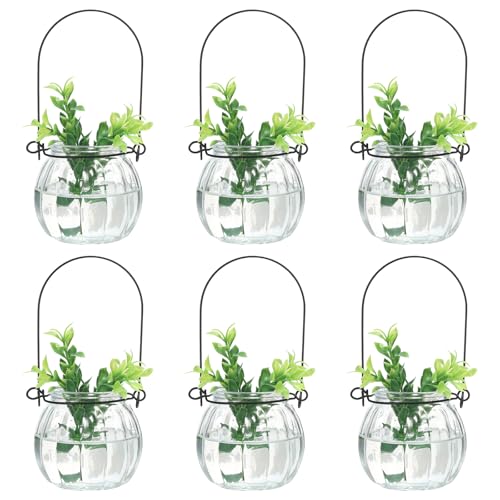 PATIKIL Pumpkin Glass Terrarium Planter 2.3 Inch, 6 Pack Air Plant Wall Hanging Pot DIY Interest Plant for Home Decor Garden Office, Clear