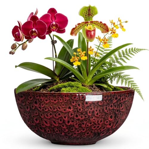 Bowl Planter, 10 Inch Ceramic Bonsai Pots, Red Leopard | Succulent Pots with Drainage Hole, Round Shallow Plant Pot for Indoor Plants Outdoor, Bathroom Decor, Gifts for Plant Lovers - color: Red Leopard-1, size: 10 Inch