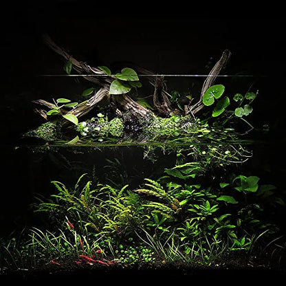 Ultum Nature Systems Controsoil - Freshwater Aqua Soil Substrate for Fish, Shrimp, Live Plant Propagation and Aquascaping - 6.8pH Low Ammonia, Volcanic Ash - Black, Extra Fine (10 Liter) - color: Black - Extra Fine, size: 10 Liters (9.1 kg)