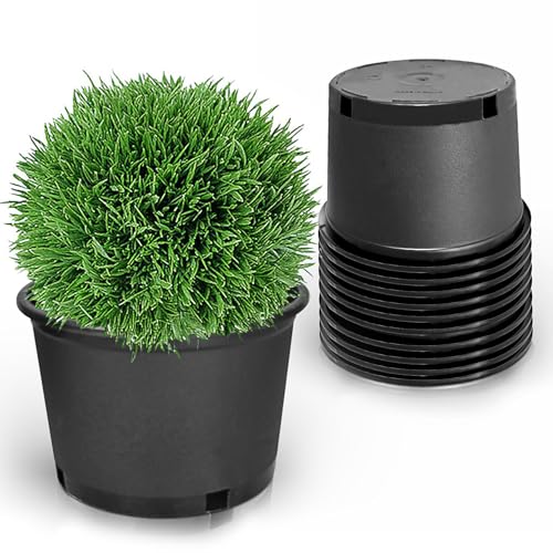 10-Pack 1.2 Gallon Round Planter Nursery Pots, Flower Plant Container Injection Molded Plastic Nursery Pots Gardening Pot for Indoor Outdoor Vegetables, Succulents, Black - color: Black, size: Round-2Gallon Short-10pcs