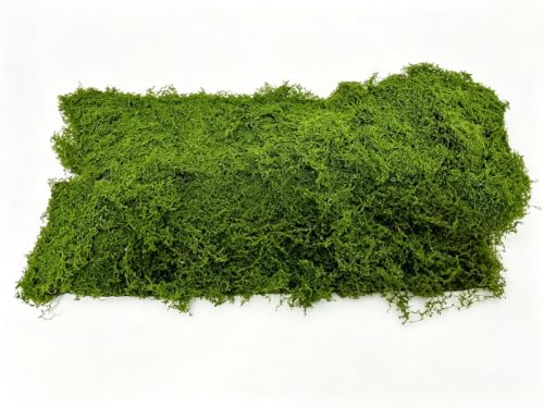 Green Realistic Artificial Moss Mat, Fake Moss for Floral Arrangements Fairy Garden Crafts Indoor Green Faux Grass Wall Decor Gardens(10x120cm)