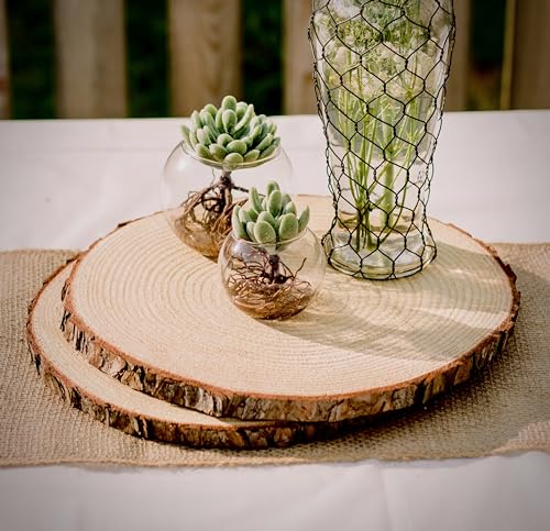 Set of 10 Large Wood Slices (11-13”) – Rustic Wooden Rounds for Wedding Centerpieces, Event Decor, and Table Centerpieces - size: Set of 10 Large (11-13")