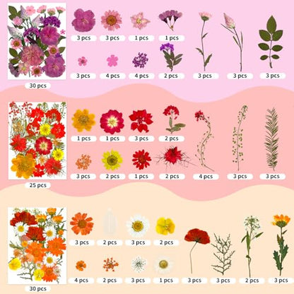 207 Pcs Dried Pressed Flowers for Crafts, Dried Pressed Flowers for Resin, Bulk Natural Dried Flowers Kit with Butterfly Stickers&Tweezers for DlY Resin Molds, Candles, Soap,Jewelry Making, Art Crafts