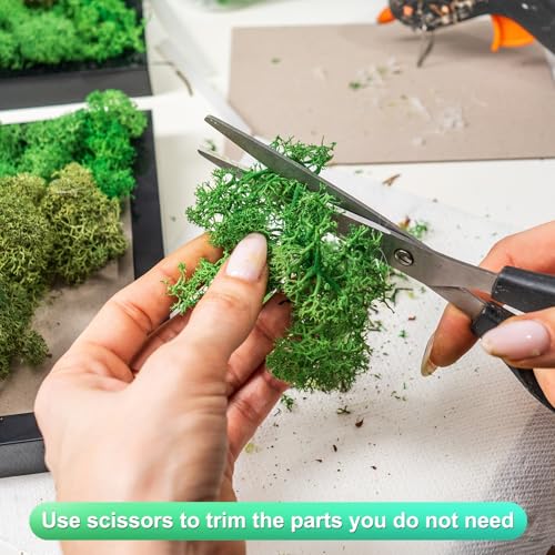 Preserved Reindeer Moss, 4 OZ Fake Moss for Crafts Artificial Dried Moss for Decoration, Craft, Terrariums, Potted Plants, Centerpieces Fairy Gardens (Light Green)