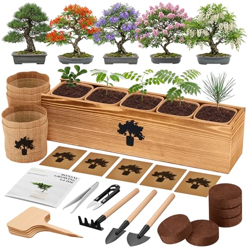 Bonsai Tree Kit - Complete Indoor Bonsai Starter Kit with 5 Unique Tree Seeds, Bonsai Tools - DIY Gardening Gift for Adults Women Men, Mom, Her, Friend (5 Bonsai Trees)