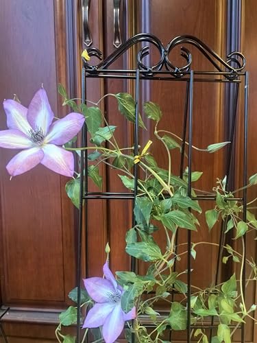ARIFARO 4Pack 37.5'' Metal Garden Trellis for Climbing Plants Outdoor | Thicken Steel Trellis, For Indoor/Outdoor, Tomato, Cucumber, Rose, Flower, Potted Plants, Houseplants, Climbing Vines, Black - size: 37.5 inches