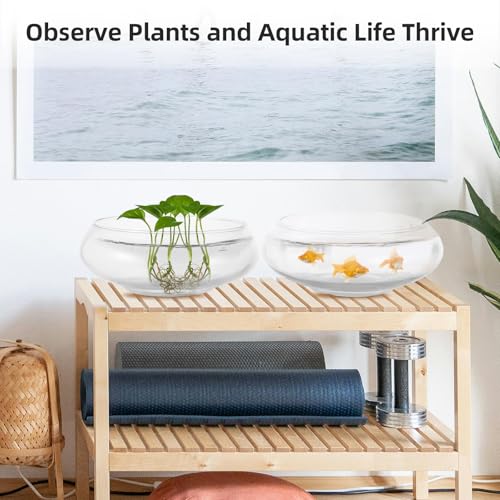 2 PCS Round Glass Vase Bowl, 6"/ 8" Wide Mouth Clear Glass Fish Bowls, Lotus Bowl, Succulent Planters, Hydroponic Planter Floral Decor Centerpieces for Home Decoration (2PCS)