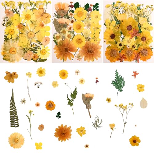 100 PCS Yellow Pressed Dried Flowers and Leaves with Tweezers | Natural, For Resin, For Candle, For Jewelry, For Scrapbooking & DIY Crafts - color: Yellow 100