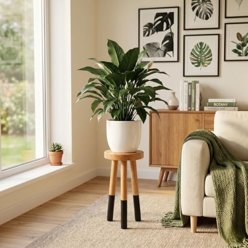Wood Plant Stand, Indoor Plant Holder, Wooden Pot Stand for Plants - color: 18" Tall Black