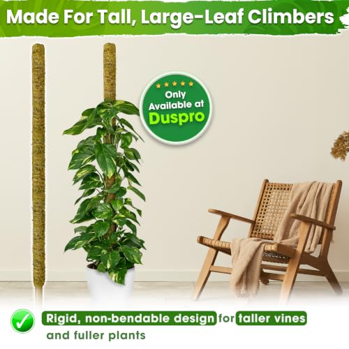 DUSPRO 80" Large Stackable Moss Pole for Plants Monstera, (1pc., 80'') - size: 80'' MOSS POLE for SUPER-BIG PLANTS