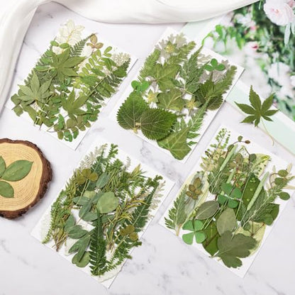 95Pcs Real Pressed Dried Leaves for Resin, 35 Styles Natural Dry Leaf for DIY Crafts, Green Dried Leaves for Epoxy Molds Jewelry, Candle, Bookmarks,Soap Making, Card Scrapbook - size: 95Pcs Dried Leaves
