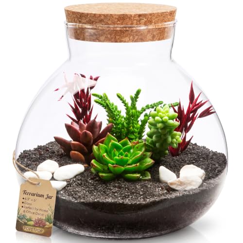 POPETPOP Glass Terrarium Jar, 6.3 Inch Planter Terrariums with Cork Lid