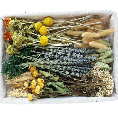 xin's convey DIY Natural Dried Flower Set, Bulk Dried Flowers for Vase, Dried Flowers with Stems, Dried Roses, Mini Dried Flower Bouquets.(Brown) - color: Brown