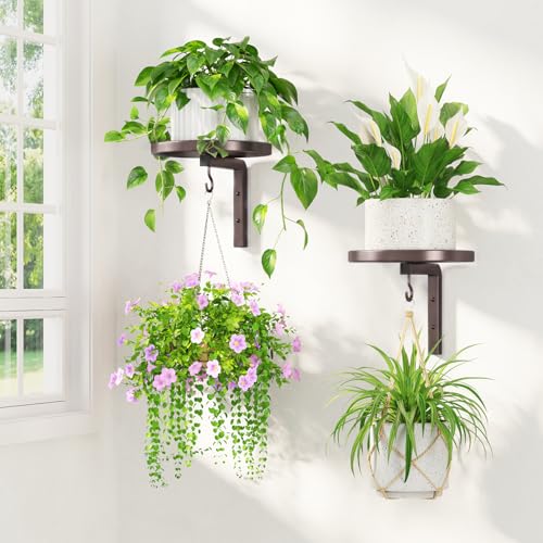 LASZOLA Plant Hanger Holder Window Shelf Wall Mounted Indoor, 2 Pcs Brown | Modern Metal Floating Stand, Hanging Flower Display Rack, with Hooks for Outdoor Home Kitchen Decor - color: Bronze, size: 2