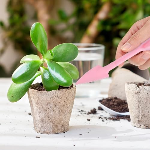 M METERXITY 1-Set Succulent Tools, Plastic 2-in-1 Mini Garden Shovel Hand Succulent Transplanting Tools Garden Shovel Transplant Trowel for Planting/Digging/Aerating/Sowing [Green,Pink] - color: Green,Pink