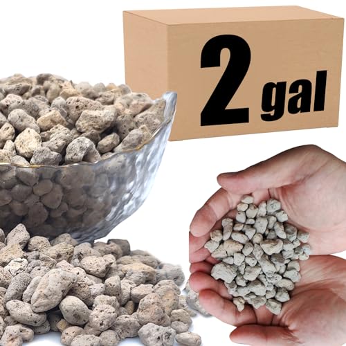 Organic Pumice for Bonsai and Horticultural 100% Natural (2 gallons, 3/8 inch) - color: 2 gallons, size: 3/8 inch