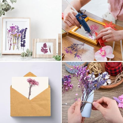 Real Dried Flowers for Resin, Natural Pressed Flowers (White) | Natural mixed dried flower pack with tweezers for DIY resin,crafts& candles. - color: White