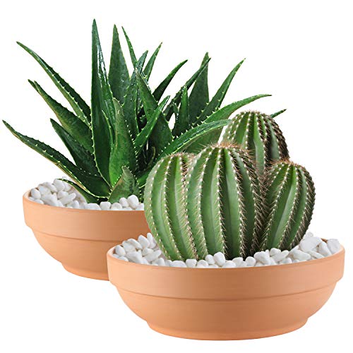 Laerjin Terracotta Pots with Drainage Holes, Large 2 Pack, 8.66 Inch | Ideal for gardeners growing cactus, succulents, herbs, and flowers on patios, balconies, gardens, or indoor plant stands - size: 8.66 inch