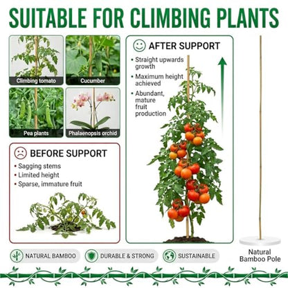 Plant Stakes Natural Bamboo Sticks - 35 Pcs Bamboo Garden Stakes for Plants 4 FT Plant Support Sticks with Twist Ties for Tomatoes Beans Flowers Indoor Outdoor Potted Climbing Plants - size: 4ft,35PCS