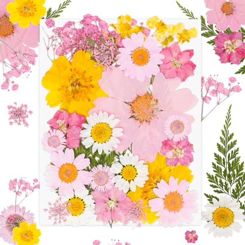 30Pcs Dried Pressed Flowers Bulk Dried Flowers for Crafts, Dry Flowers for Resin Molds DIY Scrapbooking Candle Jewellery Making (Pink) - color: 30pcs Pink