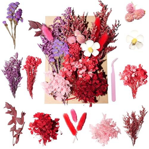 Real Dried Flowers Natural Dry Flowers,Mixed Natural Pressed Dried Flowers,Real Dry Florals for Resin Crafts, Candle Making, DIY Art Projectsr (Red 2) - color: Red 2