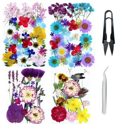 Cayway 4 Pack Pressed Flowers Natural Dried Flowers Colorful Resin Flowers Real Pressed Flowers for Resin Scrapbook DIY Art Crafts, Epoxy Resin Jewelry, Card Making Supplies, Style H - color: 4 Pack Pressed Flowers C