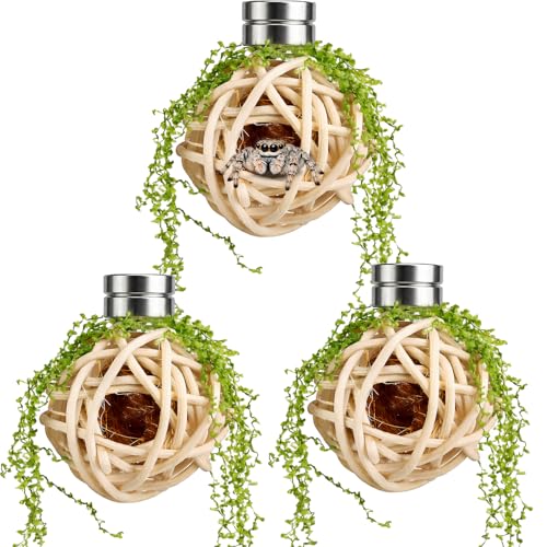 Jumping Spider Enclosure Accessories Jumping Spider Hide Set of 3 Handmade Rattan Ball Habitat Decor with Faux Moss Top Hay-Filled Interior Retreat for Spider Enclosure Terrarium (Wood)