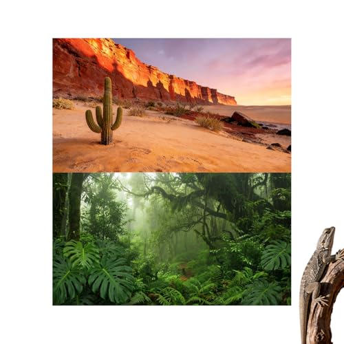 2 Pack Terrarium Background Cloth, 24x12 Inch Reptile Tank Background for Bearded Dragon & Leopard Gecko Tank Accessories, Polyester Aquarium Background with Desert & Forest Design - size: 24x12in