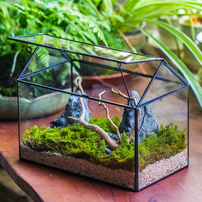 NCYP Glass Terrarium - Mini House Shape Terrarium with Lid, and House Shape Terrarium with Acrylic Lid, for Small Succulent Cacti, Ferns, Home Garden Decor