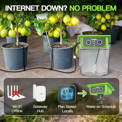 RainPoint WiFi Solar Drip Irrigation System with 3-in-1 WiFi Soil Meter