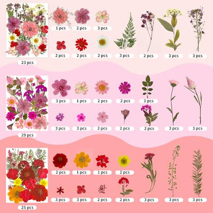 303Pcs Dried Pressed Flowers for Crafts, Dried Pressed Flowers for Resin, Natural Dried Flowers Kit with 80pcs Butterfly Stickers for DIY Resin Molds, Candles, Photo Frames, Jewelry Making, Art Crafts