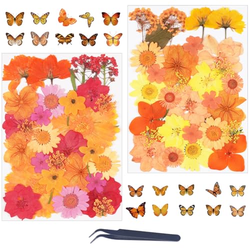 81Pcs Dried Fall Pressed Flowers for Crafts,Xinxinran Dry Flower Kit for Resin Molds,Epoxy Resin Accessories,Bookmark,Nails, Jewelry Molds,Candle Making Supplies,Soap,Frame,Cakes - color: Orange 81pcs